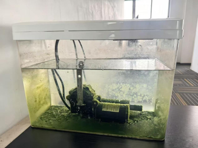 Motors Soaked Underwater for 3 Years, Still Working Perfectly?
